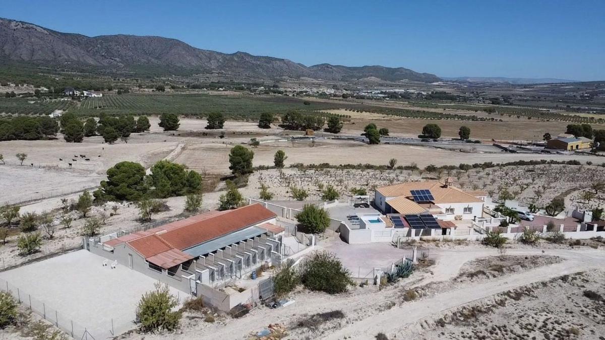 Properties for sale and rent in Spain photo 5