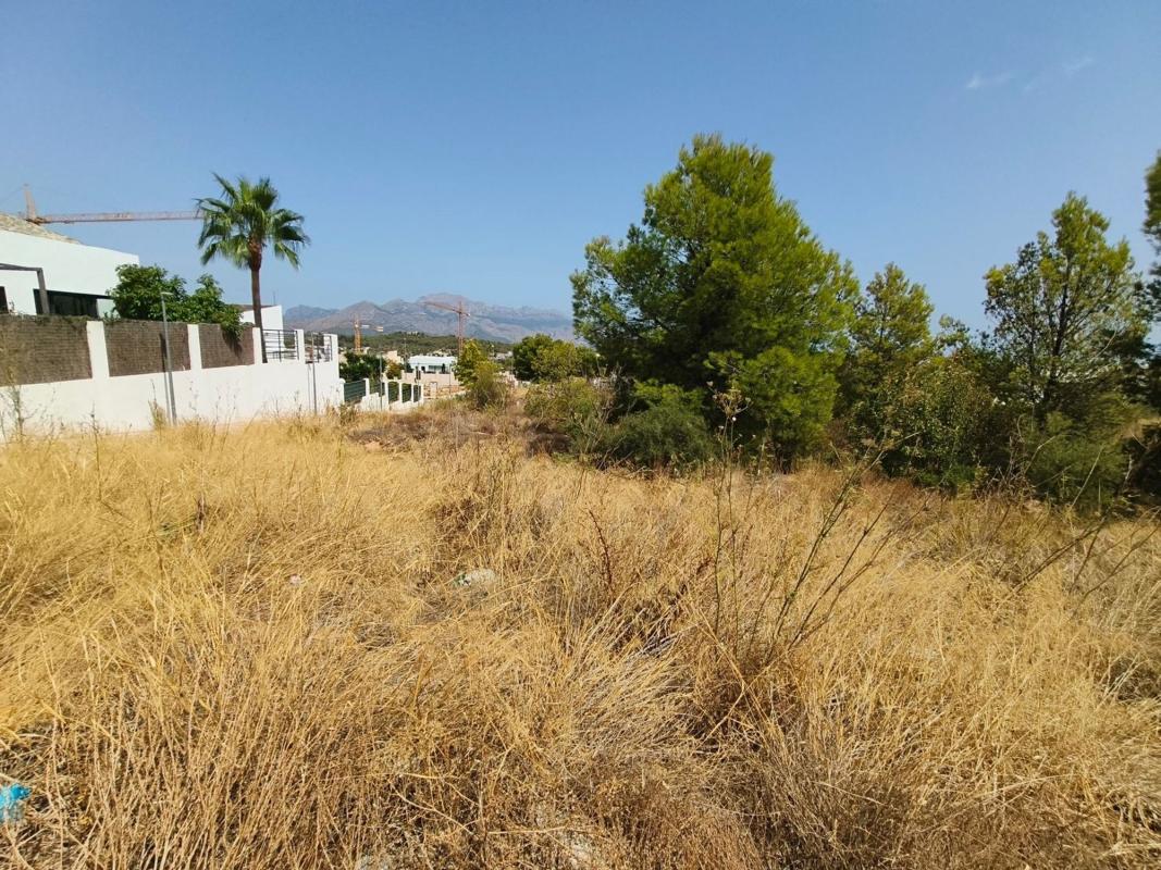 Land for sale in Polop, Alicante photo 5
