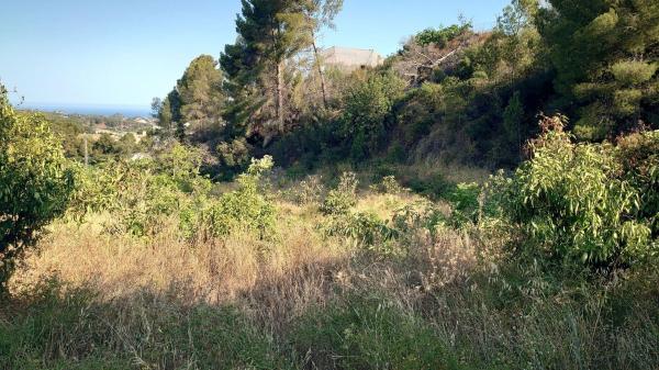 Terreno en Plans, 98, Callosa d'En Sarria photo 2