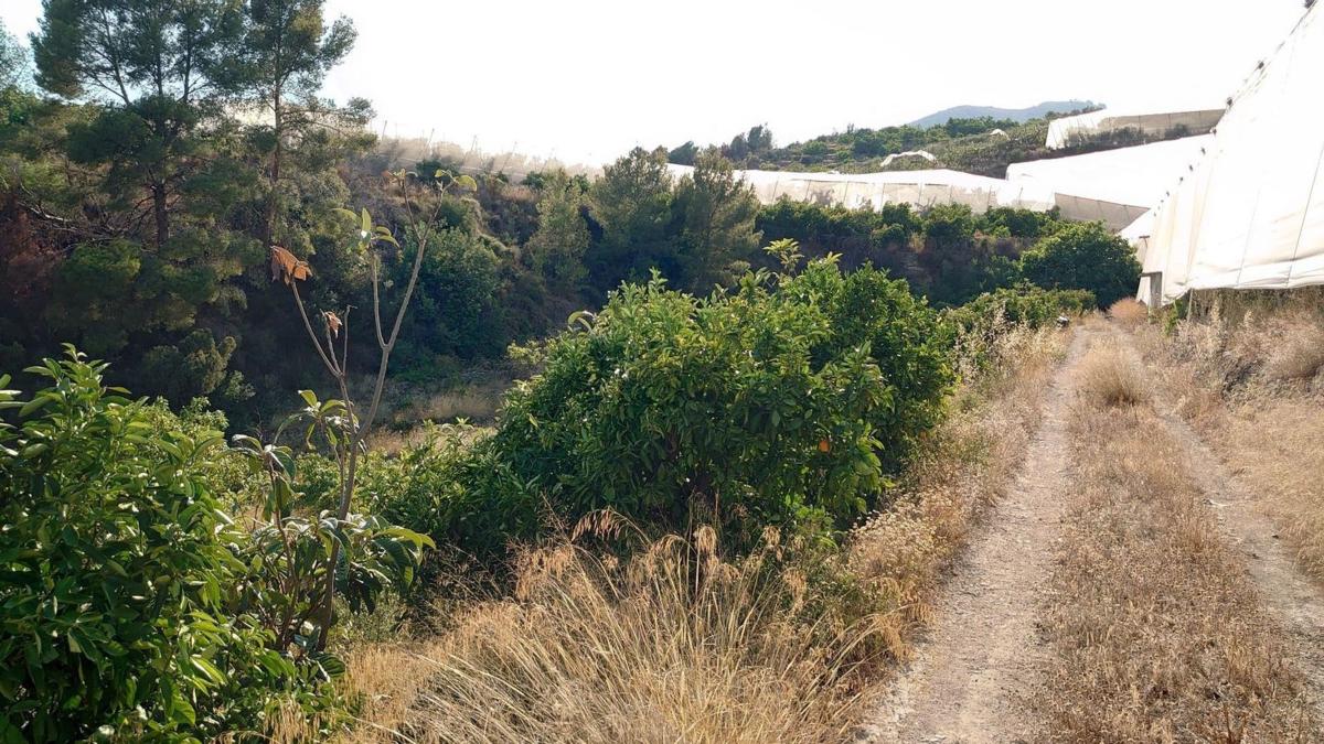 Działka na sprzedaż w Callosa d'En Sarria, Alicante photo 3