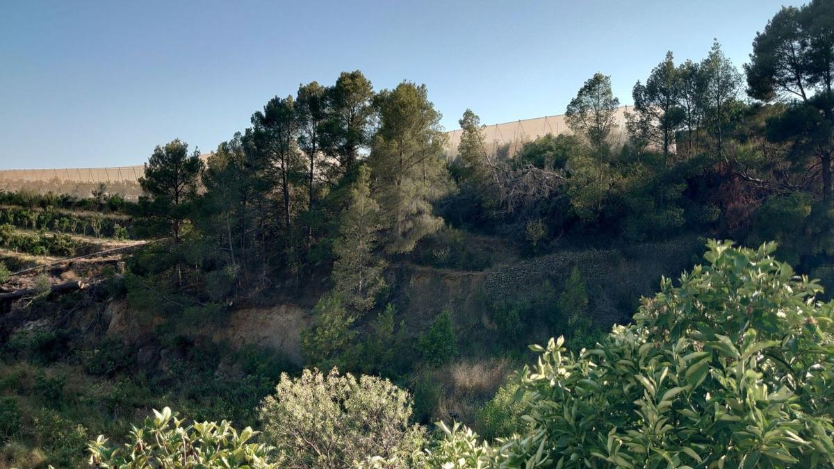 Działka na sprzedaż w Callosa d'En Sarria, Alicante photo 5
