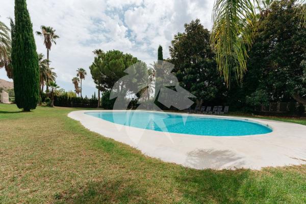 Casa o chalet independiente en Calle la Serreta, Novelda photo 1
