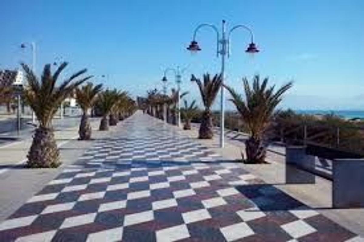 Terreno en venta en Elche / Elx, Alicante photo 1