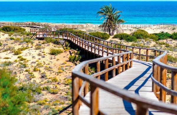 Terreno en Arenales del Sol, Elche / Elx thumbnail 3