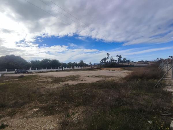 Terreno en Calle los Sauces, Algoda-Matola-Llano de San José, Elche / Elx photo 1