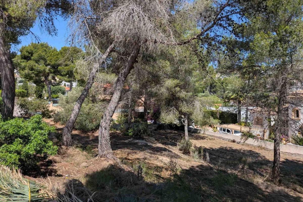 Land for sale in Moraira, Alicante photo 4
