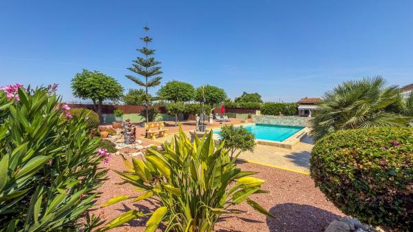 Casa o chalet independiente en Catral photo 3