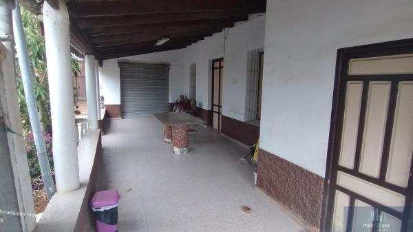 Casa o chalet independiente en Zona Universidad, Elche / Elx thumbnail 3