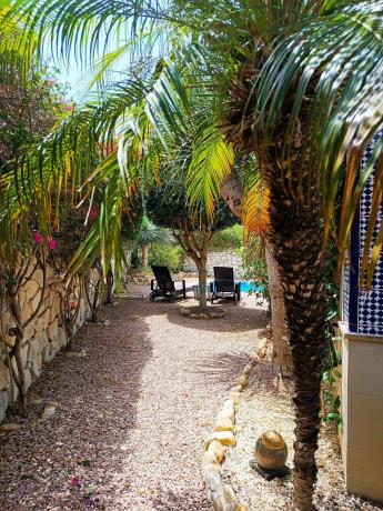 Chalet adosado en Calle Guardamar, Algorfa photo 1