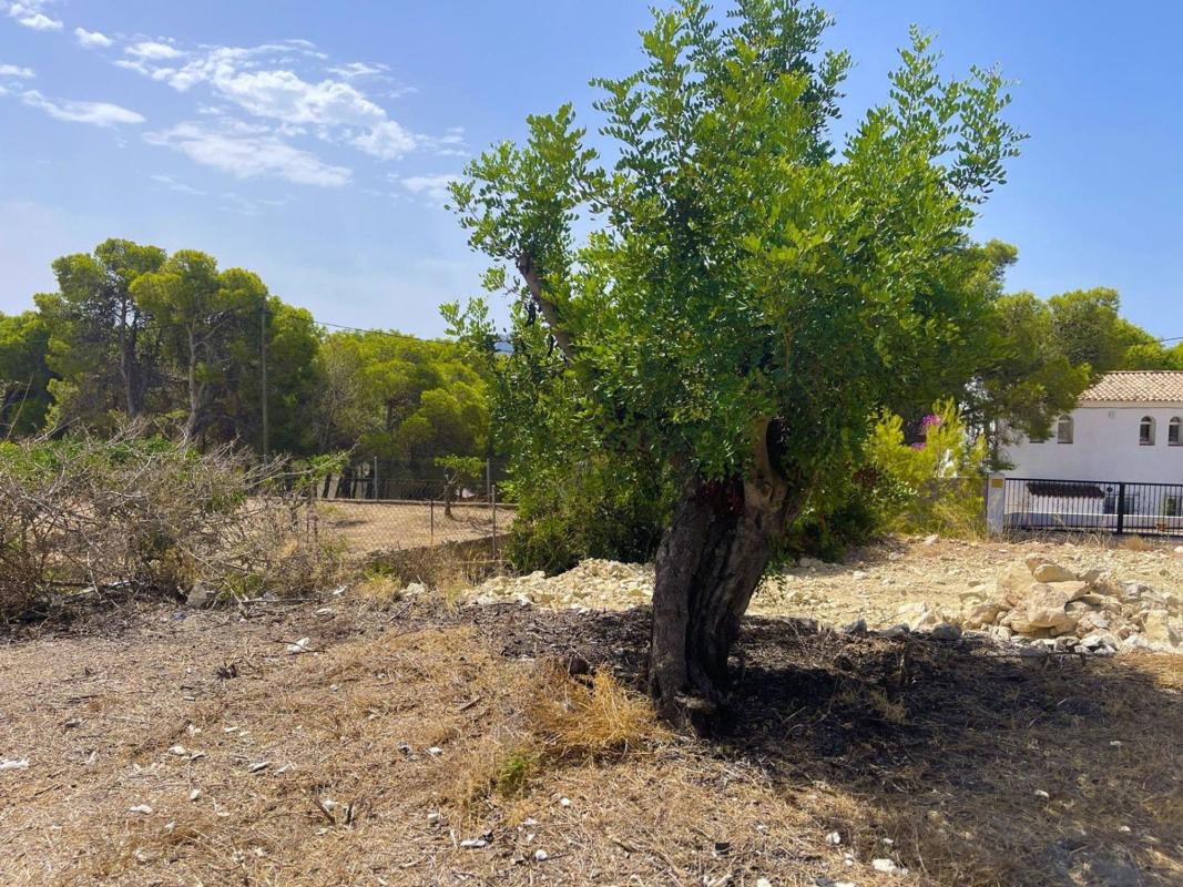 Terreno en venta en Benissa, Alicante photo 4