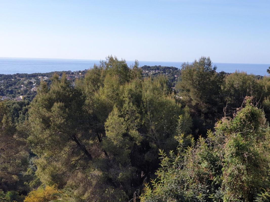 Terreno en venta en Moraira, Alicante photo 4