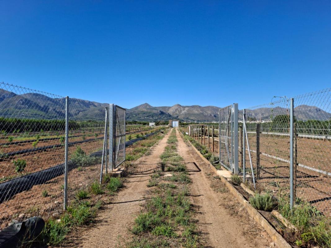 Land for sale in Pego, Alicante photo 2