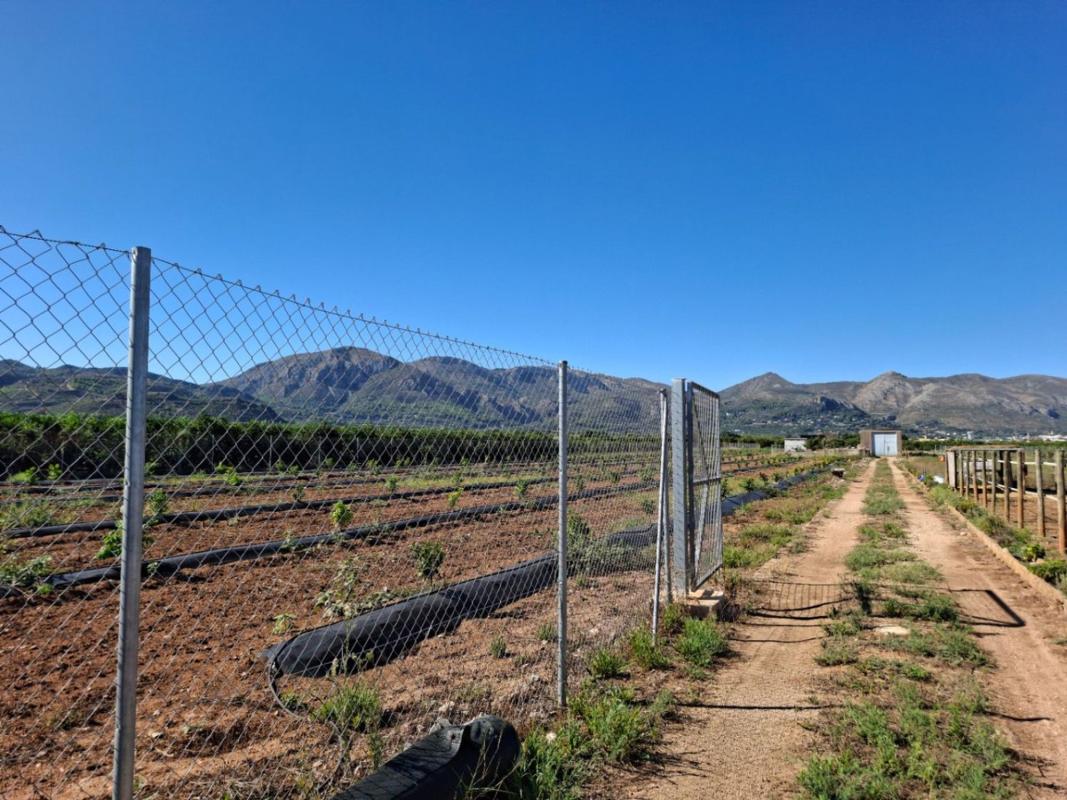 Land for sale in Pego, Alicante photo 3