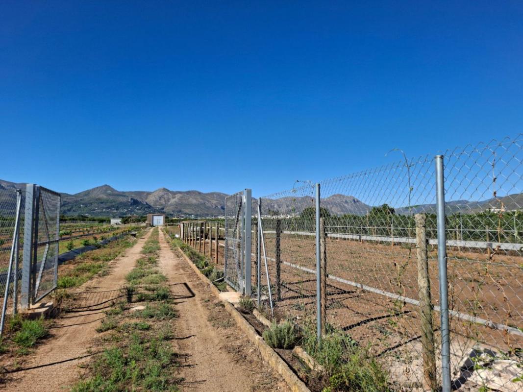 Land for sale in Pego, Alicante photo 4