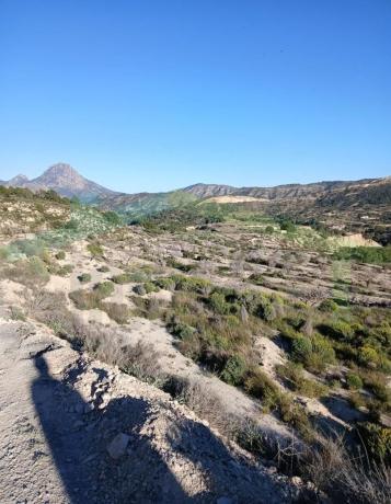 Terreno en Partida Foya Major, Relleu photo 4