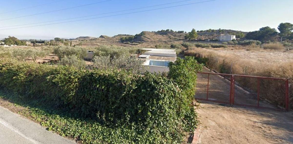 Działka na sprzedaż w Elche / Elx, Alicante photo 1