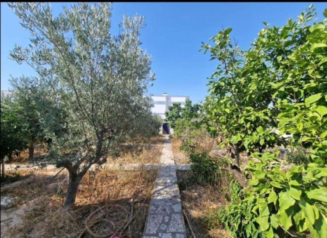 Terreno en venta en Rojales, Alicante photo 4
