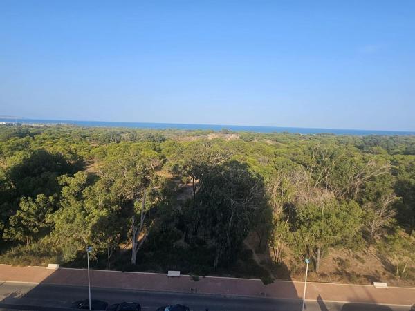 Sale of flat in Piso en Puerto Deportivo, Guardamar del Segura, Guardamar del Segura
 photo 1
