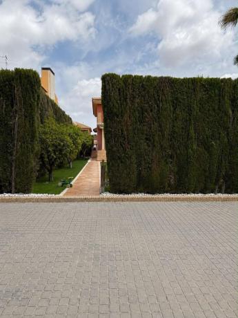 Chalet pareado en Avenida del Mediterráneo, 26 b, Monforte del Cid thumbnail 2