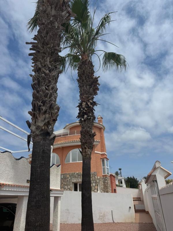 Properties for sale and rent in Spain photo 3