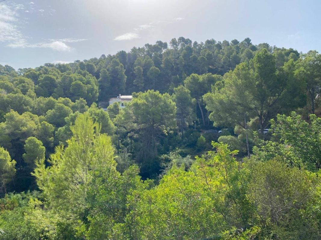 Działka na sprzedaż w Jávea/Xàbia, Alicante photo 3