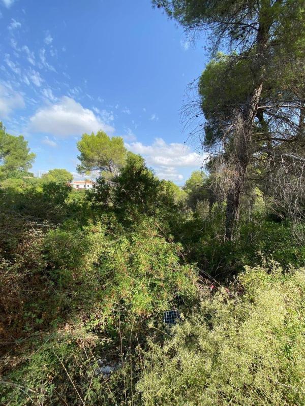 Działka na sprzedaż w Jávea/Xàbia, Alicante photo 5
