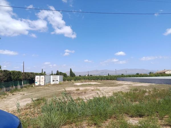 Terreno en Camino del Almajal, 8, Callosa de Segura photo 2