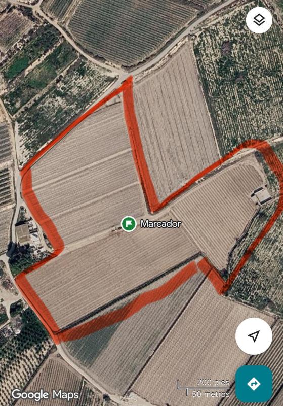 Terreno en venta en Monforte del Cid, Alicante photo 5
