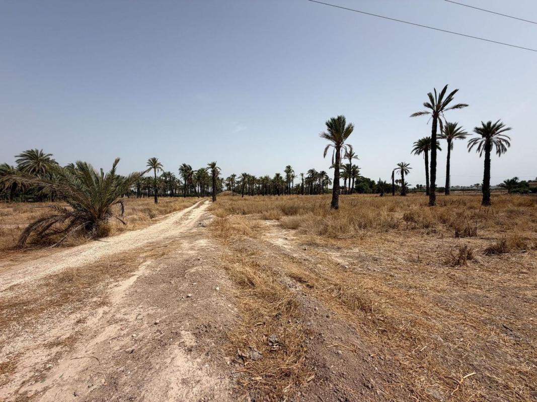 Działka na sprzedaż w Elche / Elx, Alicante photo 1