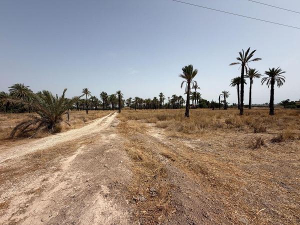 Terreno en Algoda-Matola-Llano de San José, Elche / Elx photo 1