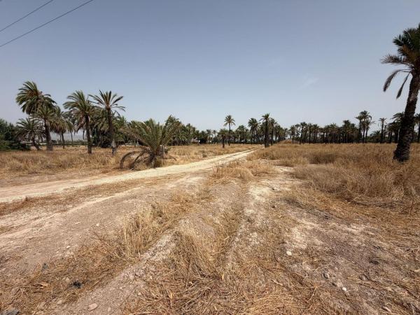 Terreno en Algoda-Matola-Llano de San José, Elche / Elx thumbnail 3