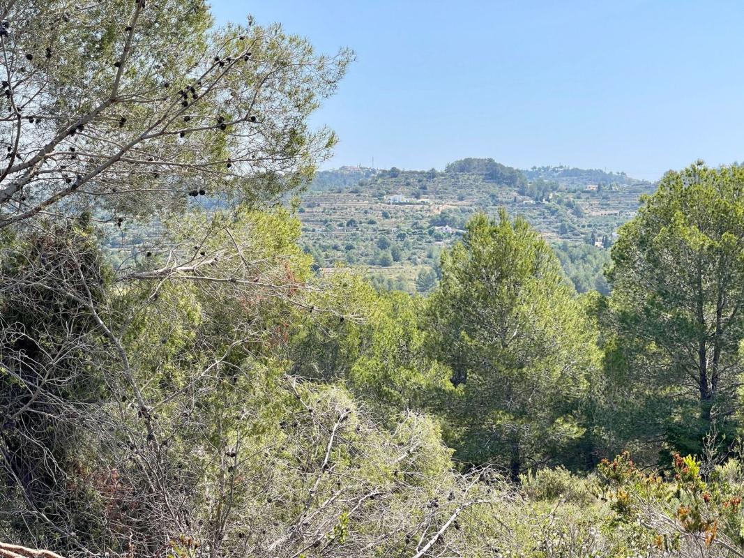 Działka na sprzedaż w Benissa, Alicante photo 3