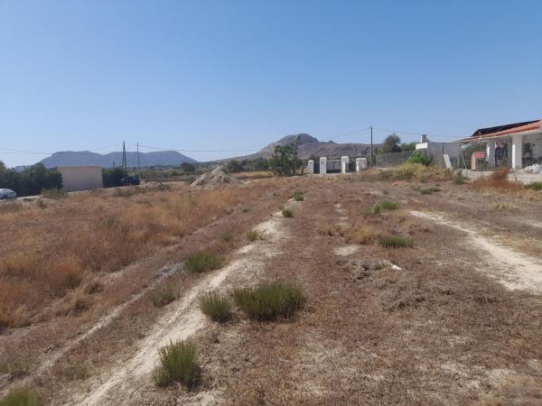 Terreno en Camino Rio Duero s/n, Cañada del Fenollar photo 3