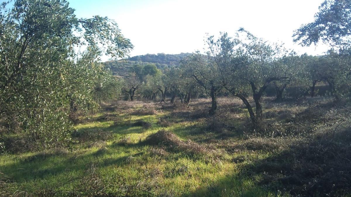 Terreno en venta en Benimarfull, Alicante photo 1