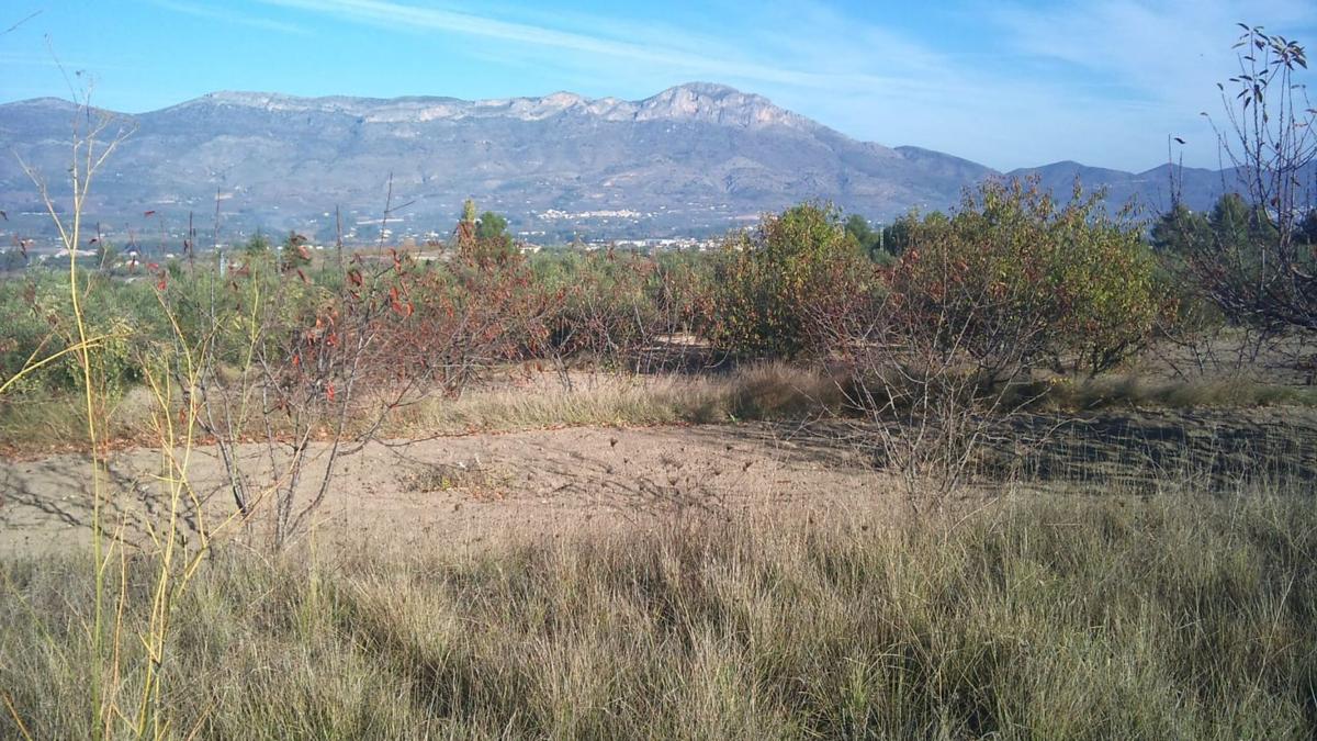 Terreno en venta en Benimarfull, Alicante photo 2