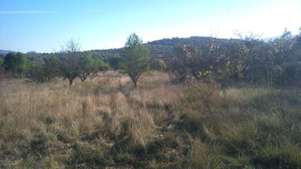 Terreno en Camino Alfora-cabañas, Benimarfull photo 3
