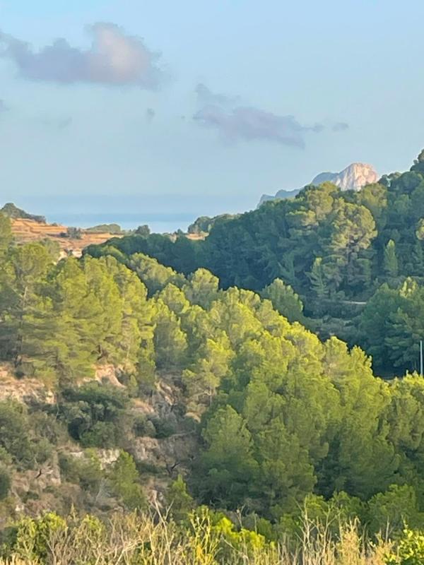 Działka na sprzedaż w Benissa, Alicante photo 2