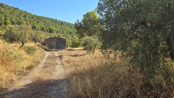 Продаётся загородный участок в  Finca rústica en Partida la Devesa, Ibi , Иби photo 1
