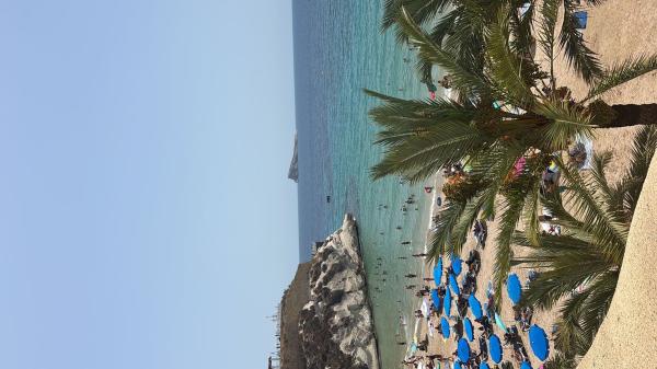 Sale of flat in Piso en Calle de Sant Llorenç, 34, Puerto, Benidorm, Benidorm
thumbnail 3