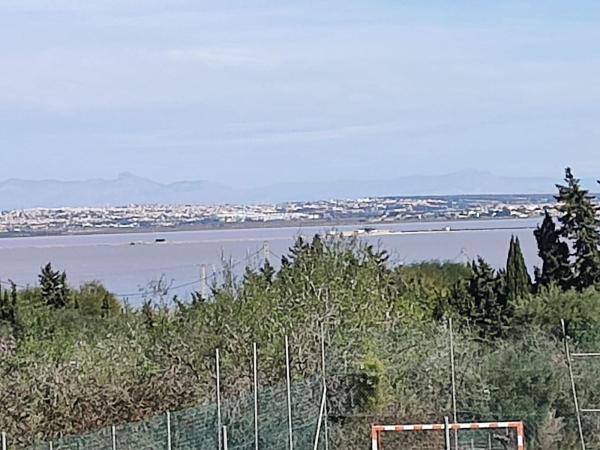 Casa o chalet independiente en Los Balcones - Los Altos del Edén, Torrevieja photo 4