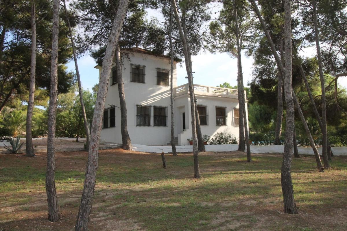 Venta de finca rústica en Finca rústica en Carretera Alicante, Pedanías Este, Aspe , Aspe photo 1