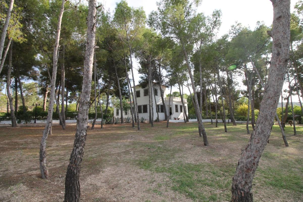 Venta de finca rústica en Finca rústica en Carretera Alicante, Pedanías Este, Aspe , Aspe photo 2