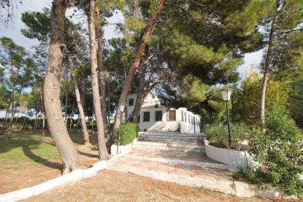 Продаётся загородный участок в  Finca rústica en Carretera Alicante, Pedanías Este, Aspe , Аспе photo 3