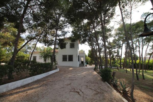 Продаётся загородный участок в  Finca rústica en Carretera Alicante, Pedanías Este, Aspe , Аспе photo 4