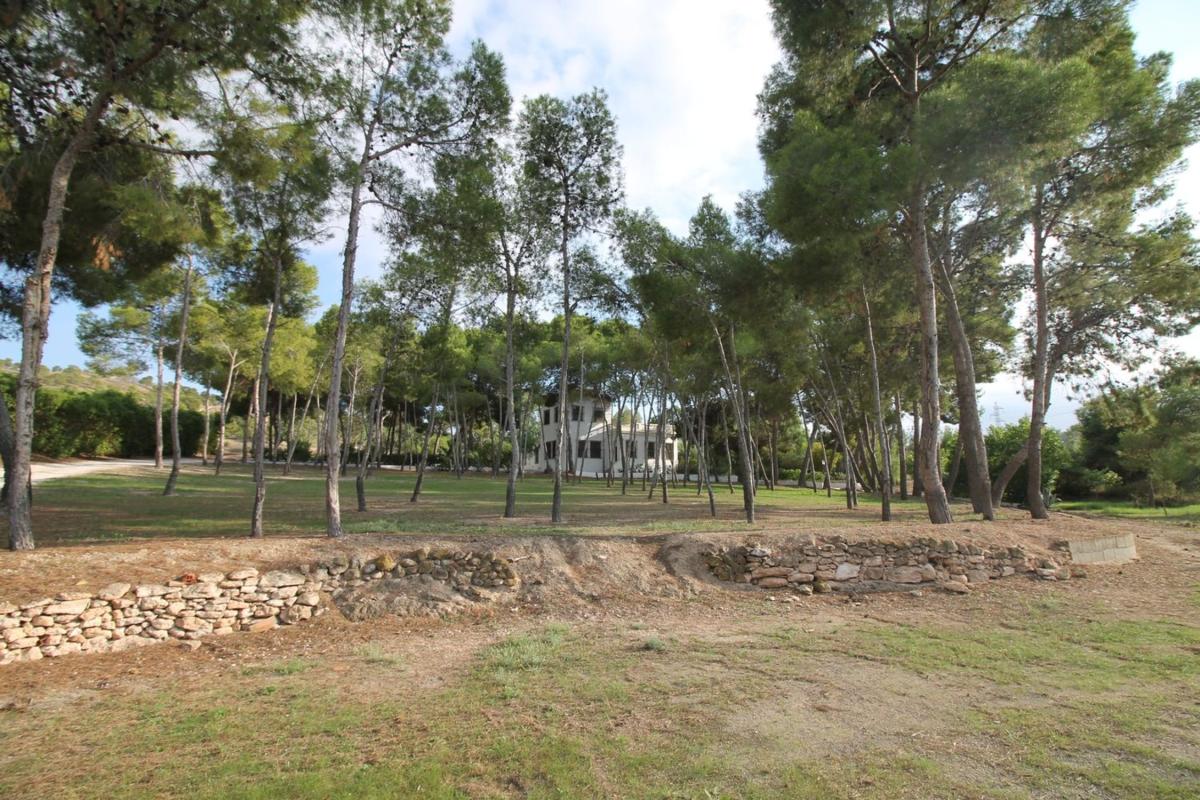 Venta de finca rústica en Finca rústica en Carretera Alicante, Pedanías Este, Aspe , Aspe photo 5