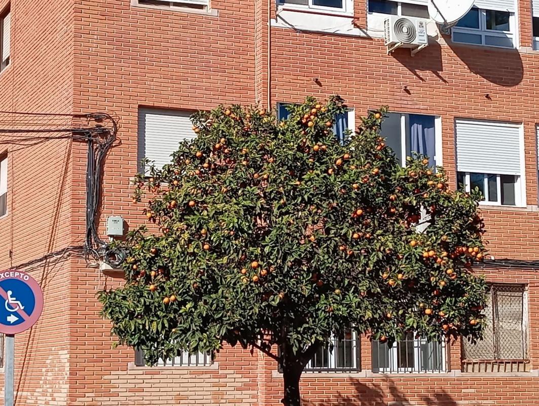 Продажа квартиры на Piso en Calle Rafal, 4, El Acequión, Torrevieja, Торревьеха
photo 1