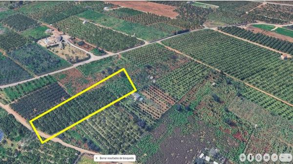 Terreno en El Palmar-Los Molinos, Denia thumbnail 2