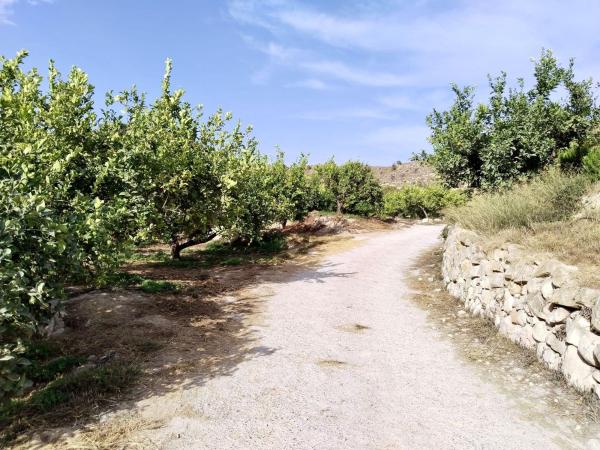 Terreno en partida carrichal s/n, El Secanet - Hacienda del Sol, La Villajoyosa / Vila Joiosa photo 1