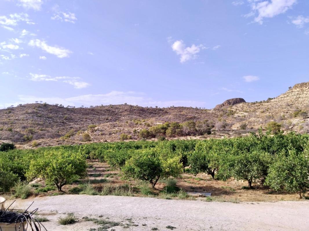 Działka na sprzedaż w La Villajoyosa / Vila Joiosa, Alicante photo 4