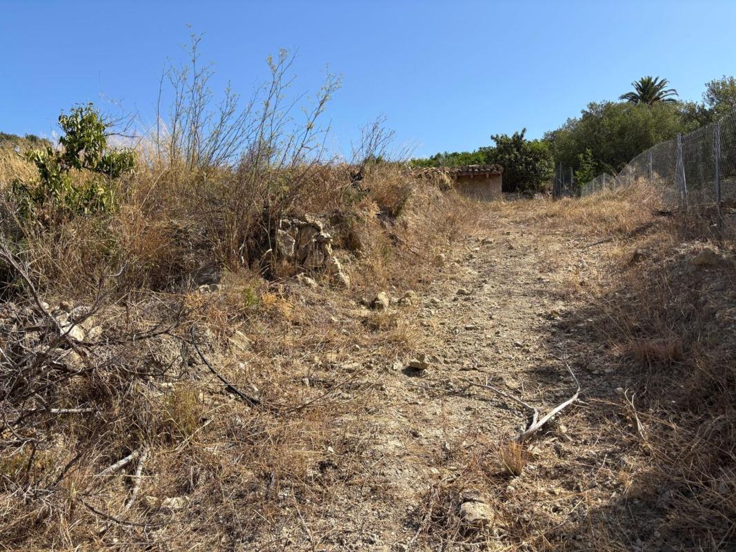 Terreno en venta en Callosa d''En Sarria, Alicante photo 2